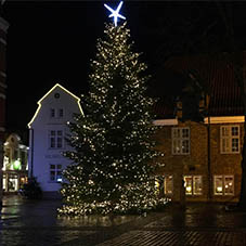  Weihnachtsbaum auf dem Rathhausmarkt in Eckernförde
